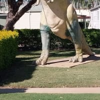 Photo by Colin van den Hoff