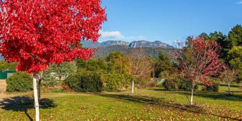 Photo by Porepunkah Bridge Holiday Park