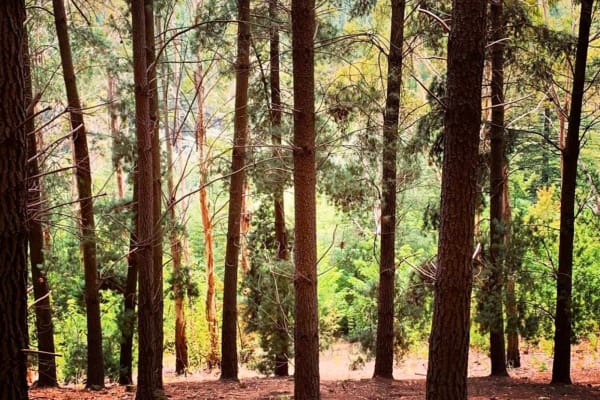 Photo by TravelTayls