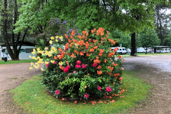 Photo by Madalina D.