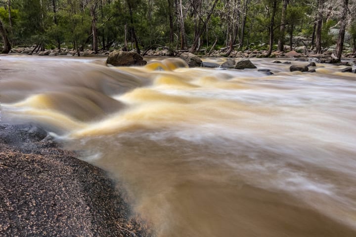 Photo by Dylan Bob Dwyer