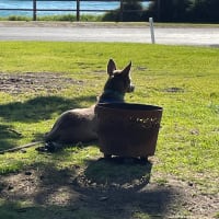 Photo by Michelle B.