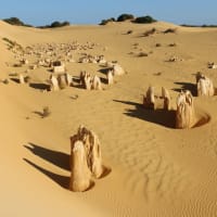 Photo by Off The Trax