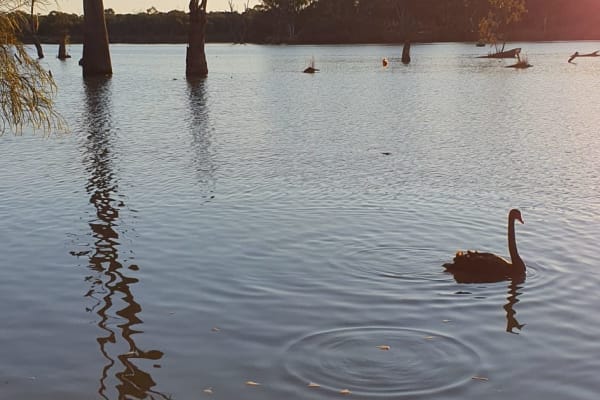 Photo by Kimberley R.