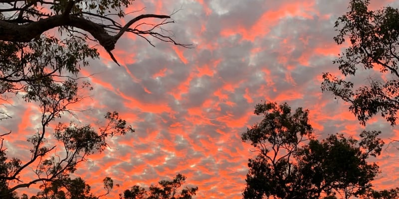 Photo by Corporate to Caravan