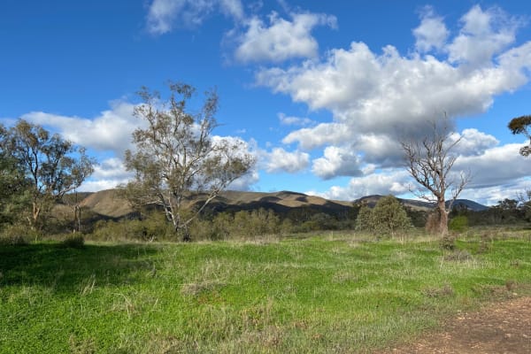 Photo by Christina T.