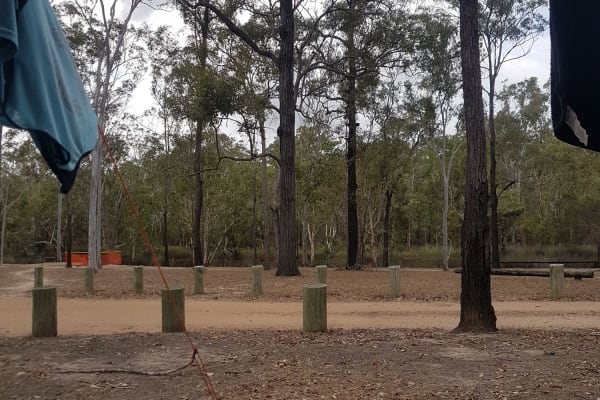 Photo by A couple with a Collie ❤