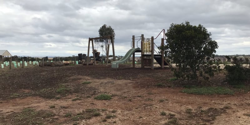 Photo by Christie M.