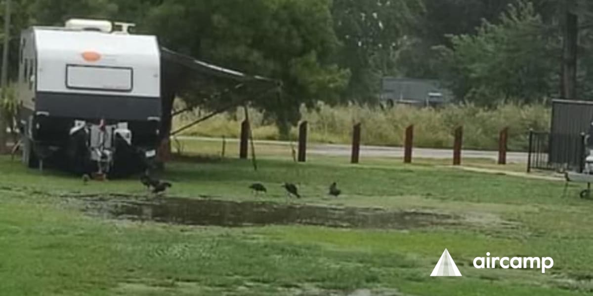 Lake Anderson Caravan Park