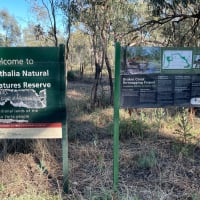 Photo by DaveDuff    CampInNature