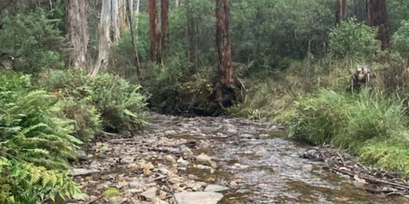 Photo by Brenden and Lisa Milkins