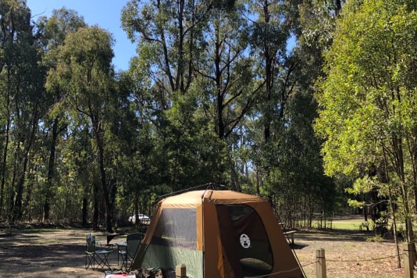 Photo by Gene Catalan Ashling