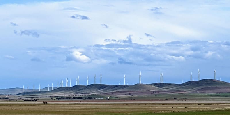 Photo by Kristine P.