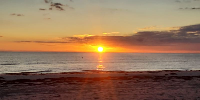 Photo by Nickolas S.