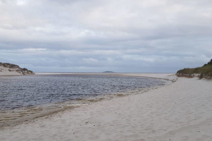 Photo by Carolyne H.