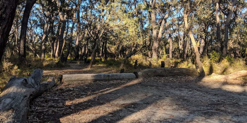 Photo by Nicholas T.