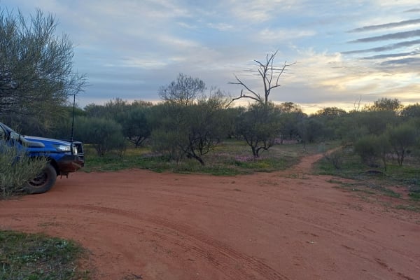 Photo by NightRanger D.