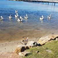 Photo by Adventure A.