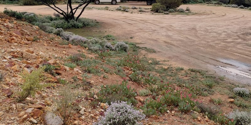 Photograph of 2 fantastic campgrounds with swimming near Sir Samuel, WA