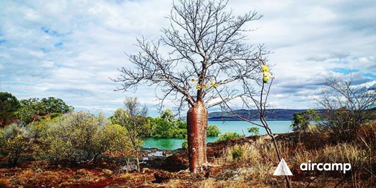 Kimberly Coastal Camp