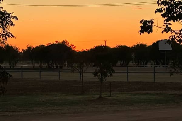 Photo by Lynne H.