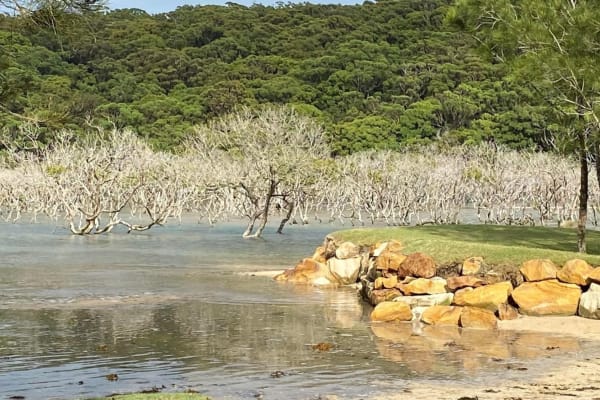 Photo by Krishantha E.