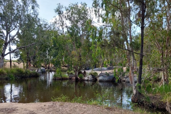 Photo by Kerry and Vicki Petterwood