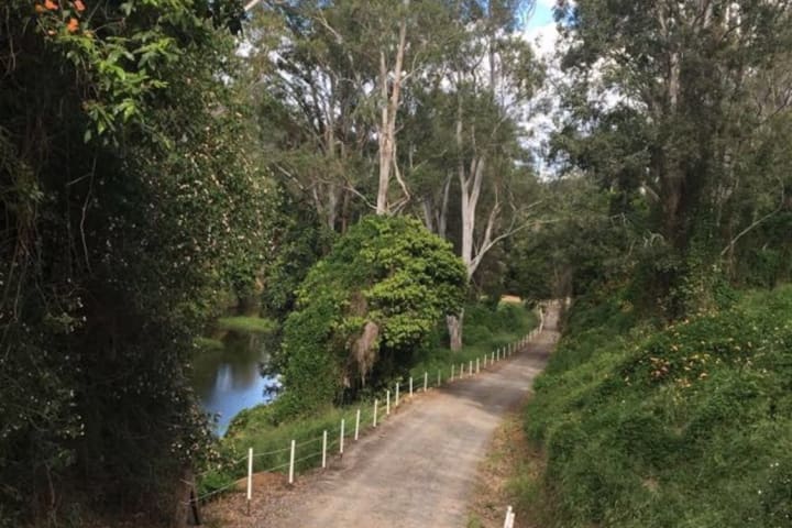 Photo by Madeleine K.