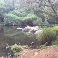 Photo by JMysmallhumans