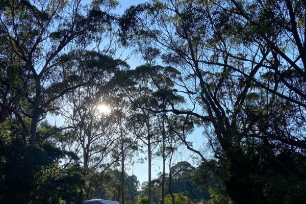 Photo by Godelaine S.