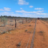 Photo by NightRanger D.