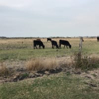 Photo by Samantha W.