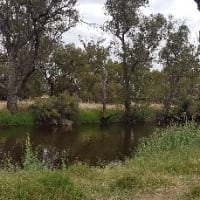 Photo by Connie de Koning