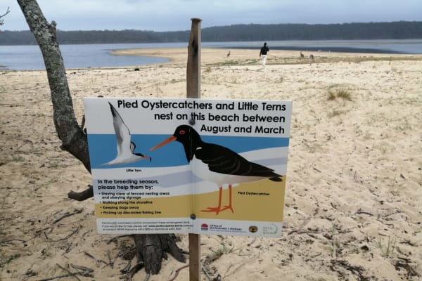 Photo by Ahmad Musa Ababneh