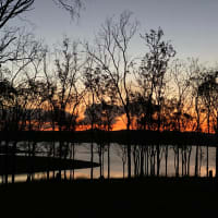 Photo by Cristina B.