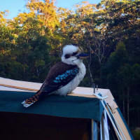 Photo by Follow The Adventures