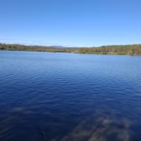 Photo by Kimberly K.