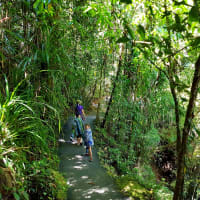 Photo by My Rig Adventures