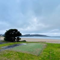 Photo by Krishantha E.