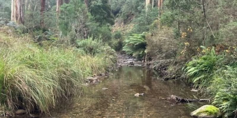 Photo by Brenden and Lisa Milkins