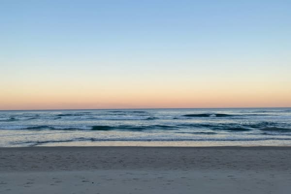 Photo by Celeste and Dan