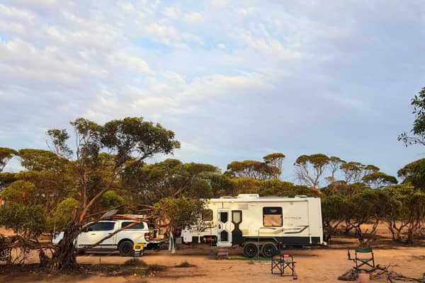 Photo by Donna Alston Hobbs