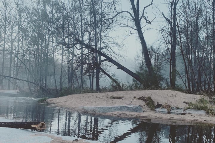 Photo by Benjahmin S.