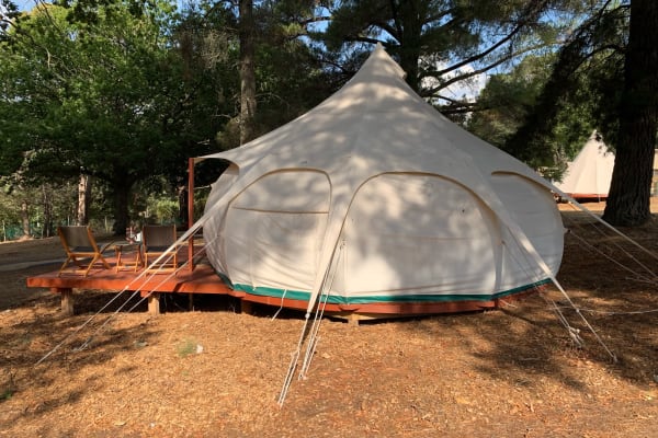 Photo by Kerri-lee M.