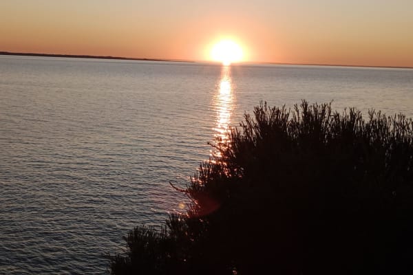 Photo by Christopher S.