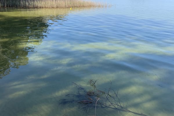 Photo by Outlaw Industries Australia