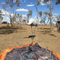 Photo by Benjamin m.