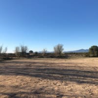 Photo by Edwin Van Ravesteyn