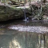 Photo by Jodie Roadster Campny