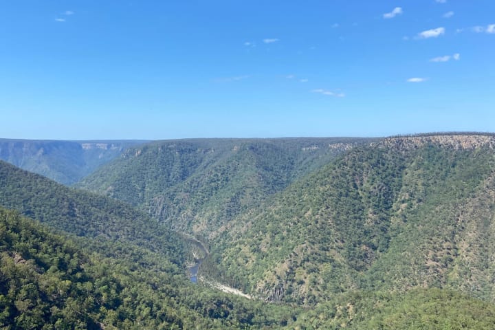 Photo by Daniela Olivera Bermudez